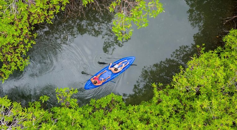 Kayak navegando entre los manglares de Barú